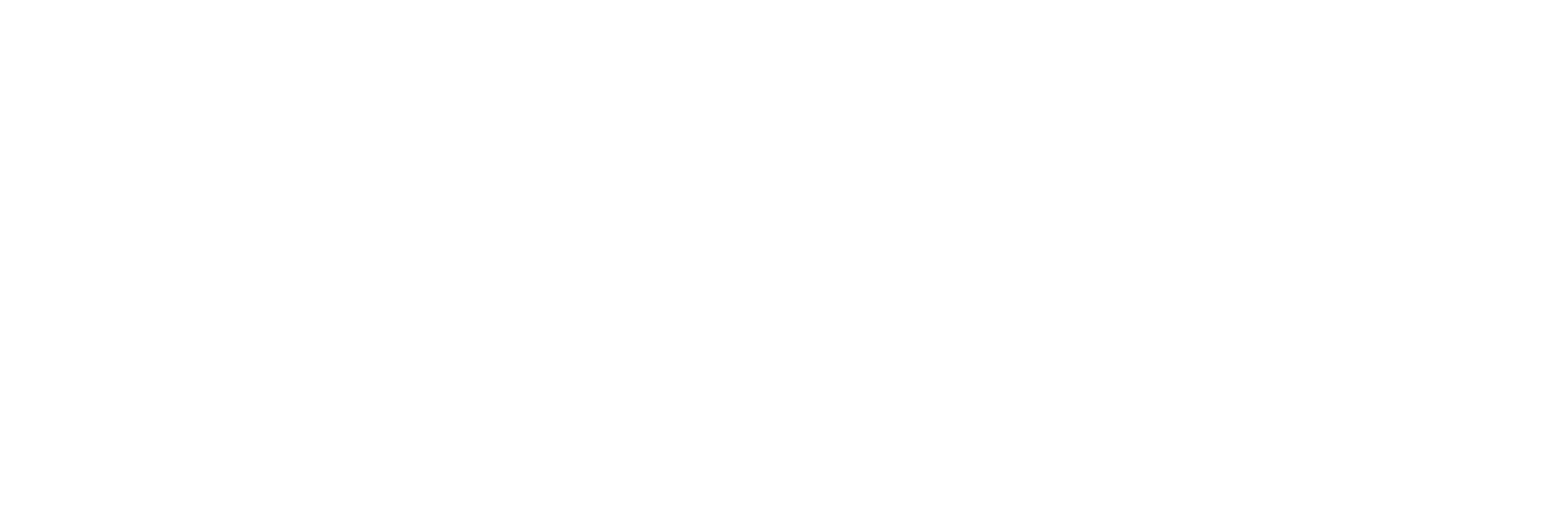 SMART HOMES VISIONS