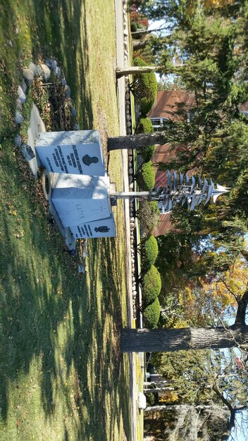 Upgrade Sprinkler System to Smart, Weather-Aware in 3 Hours