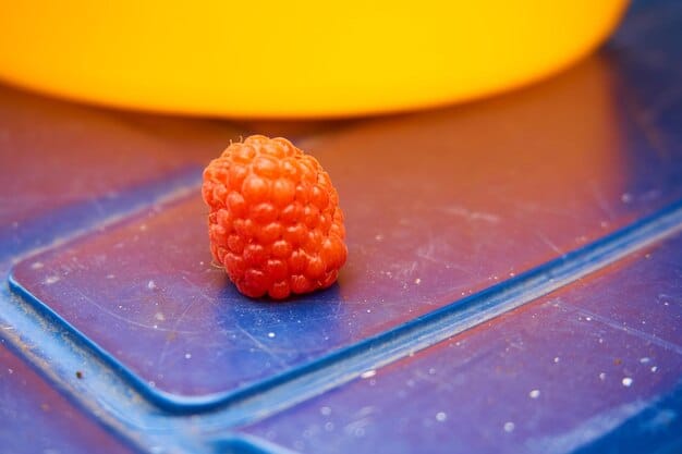 A close up shot of a Raspberry Pi connected to a soil moisture sensor and a small water pump on a breadboard. The Raspberry Pi should be clearly visible with the sensor and pump connected.