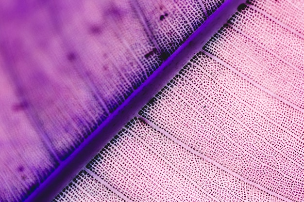 A close-up shot of the HEPA filter, highlighting its dense, layered structure. Text annotations point out key features like the filter's MERV rating and its ability to capture particles as small as 0.3 microns. A ruler is placed next to the filter for scale.