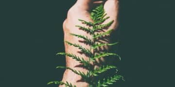 Reduce Carbon Footprint: 7 Energy-Saving Habits for a Greener Life - Cover Image