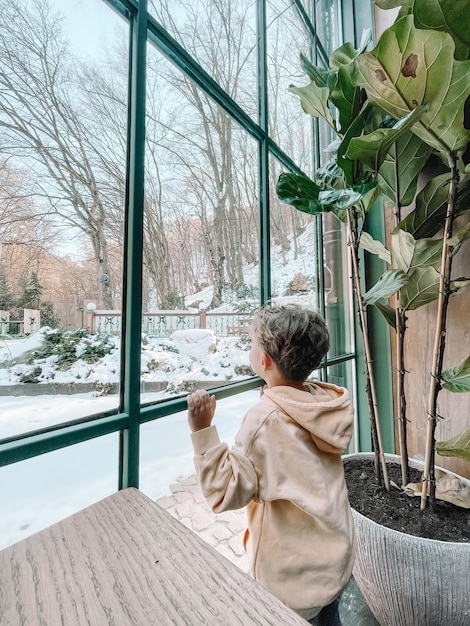 Energy-Efficient Windows: Find the Right R-Value for Savings