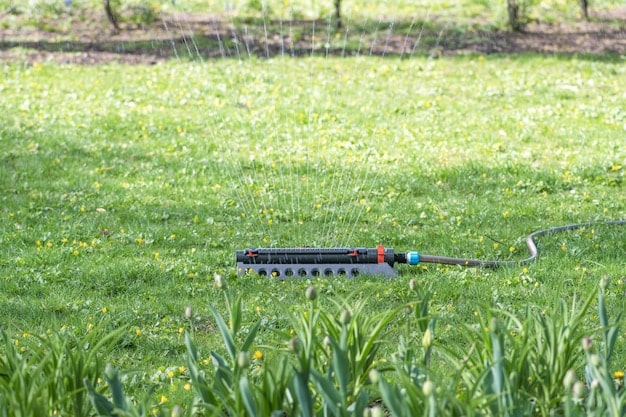 Smart Irrigation Systems: Save Water & Energy in Your Landscape