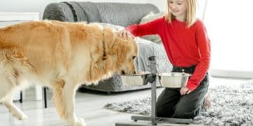 Smart Pet Feeders: Automating Pet Care with Timed Meals - Cover Image