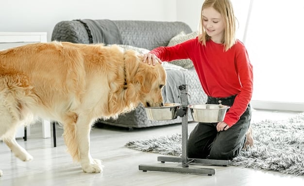 Smart Pet Feeders: Automating Pet Care with Timed Meals