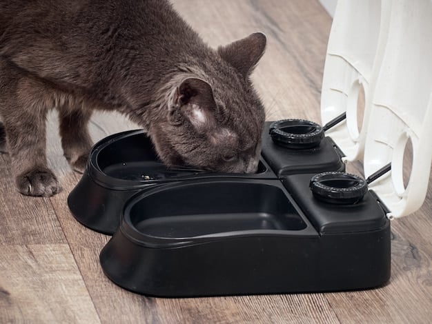 A sleek, modern wet food feeder with multiple compartments that open automatically to reveal fresh, portioned wet food. A small cat is patiently waiting nearby, looking at the feeder.