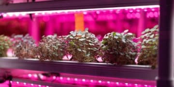 Smart Garden Systems: Grow Herbs & Veggies Indoors Automatically - Cover Image