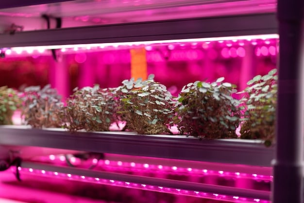 Smart Garden Systems: Grow Herbs & Veggies Indoors Automatically