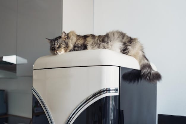 A happy cat sits in front of a smart litter box with a self-cleaning mechanism in a modern, minimalist bathroom setting.
